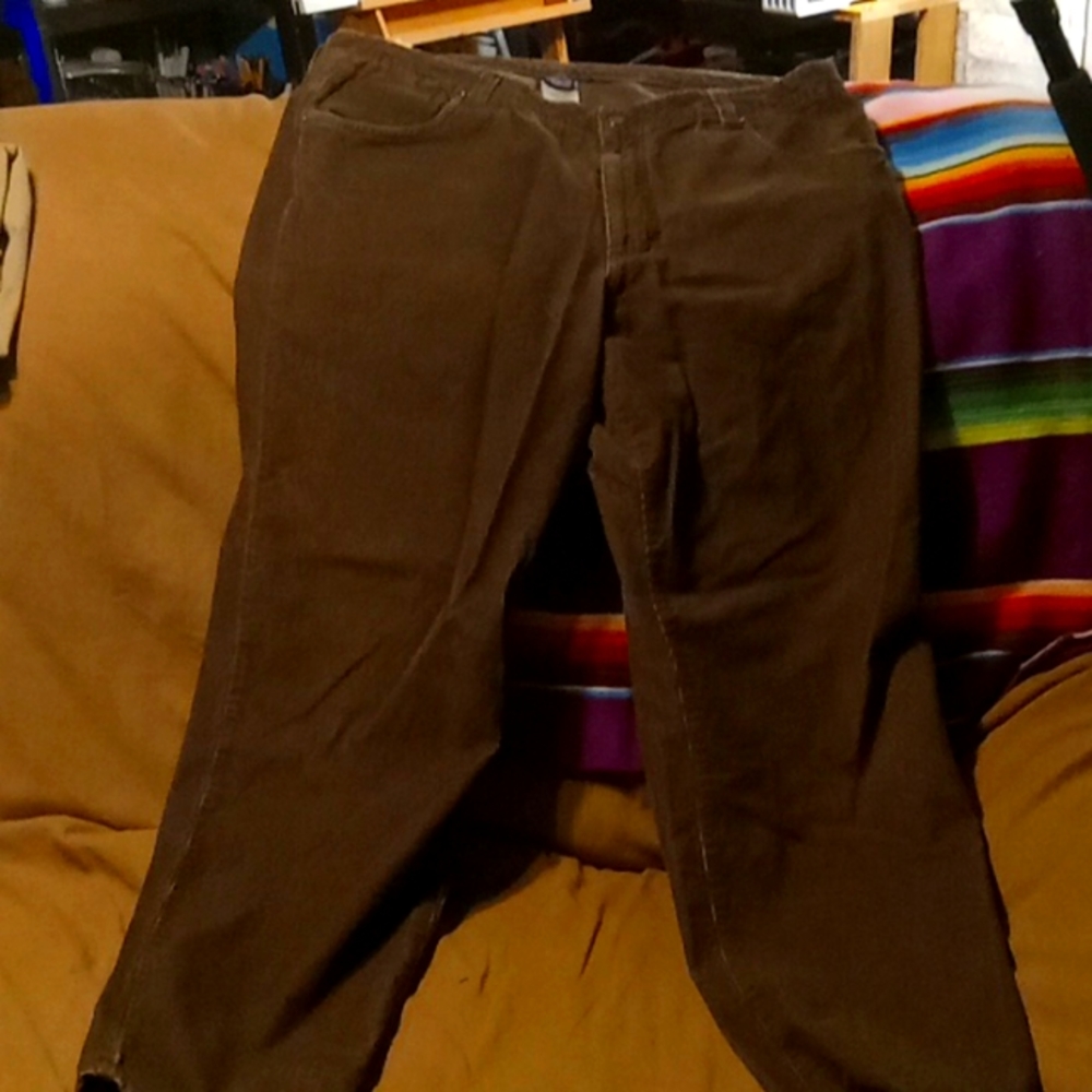 Pstagonia Corduroy Psnts Brown size 40